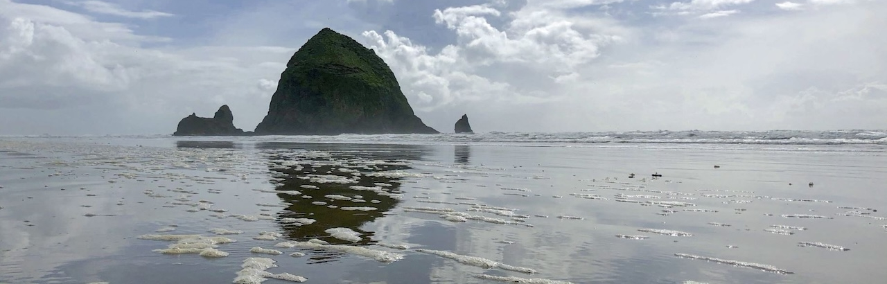 eriko onishi md at ohsu