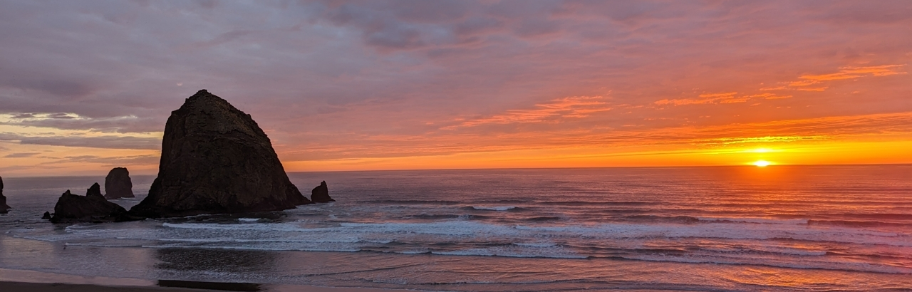 eriko onishi md at ohsu