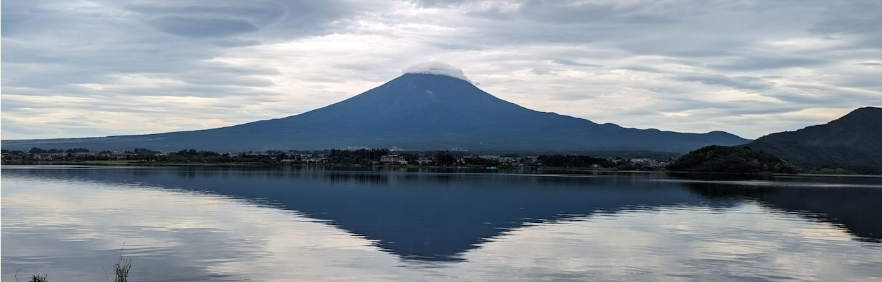 eriko onishi md at ohsu